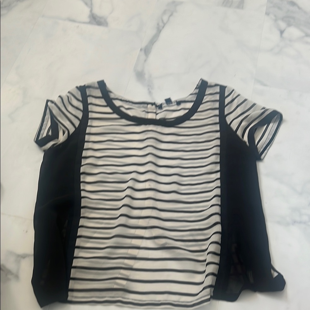 Striped Black and White Sheer Top